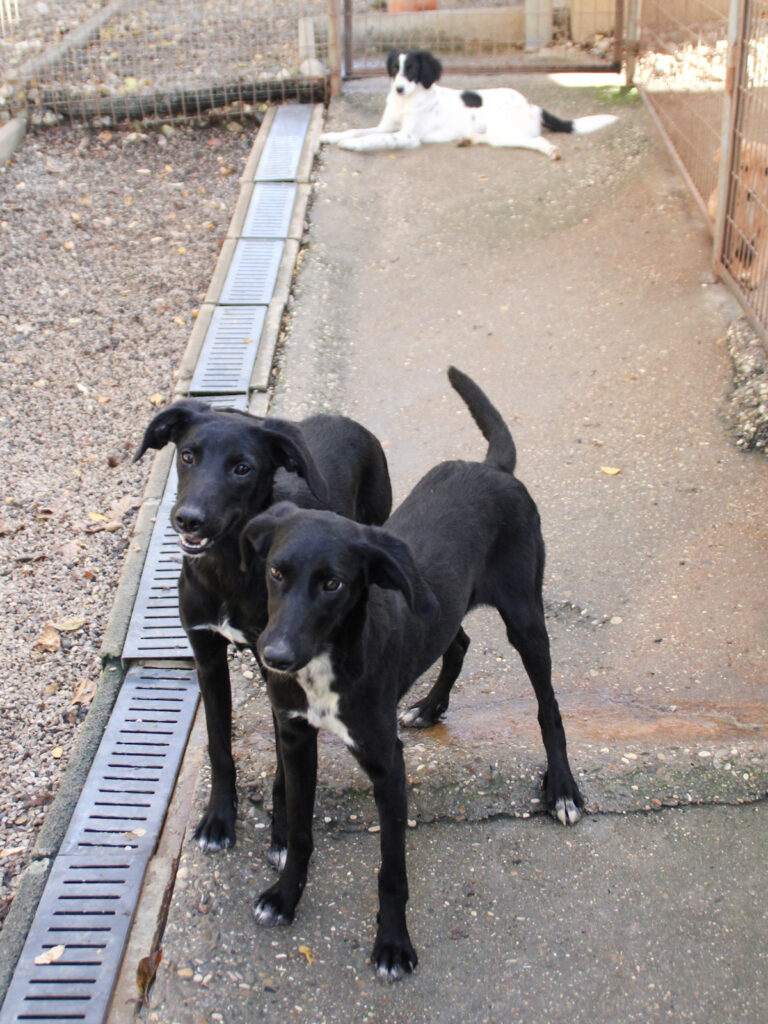 20251101-fotos-isidora-05