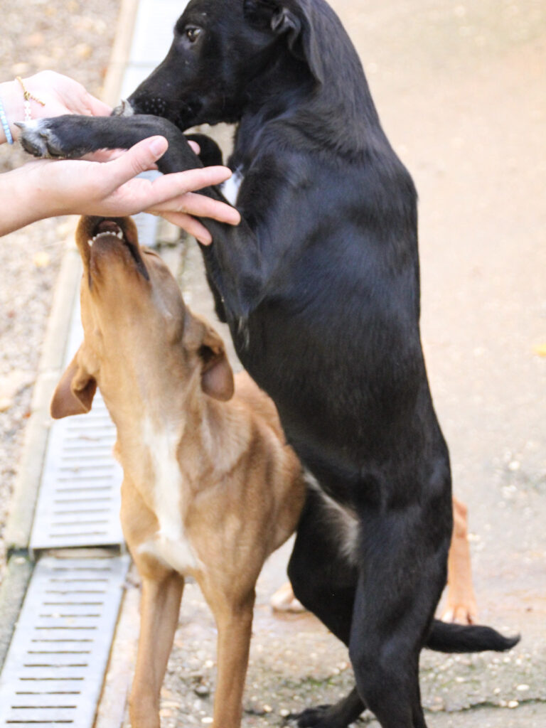 20251101-fotos-isidora-08