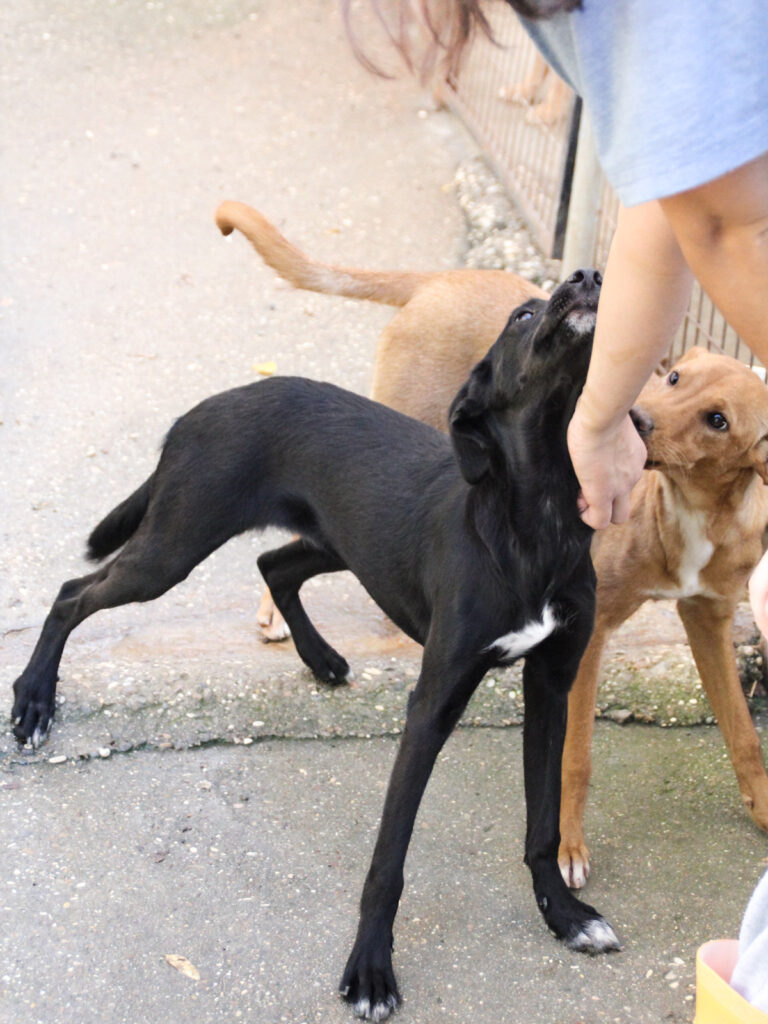 20251101-fotos-isidora-10