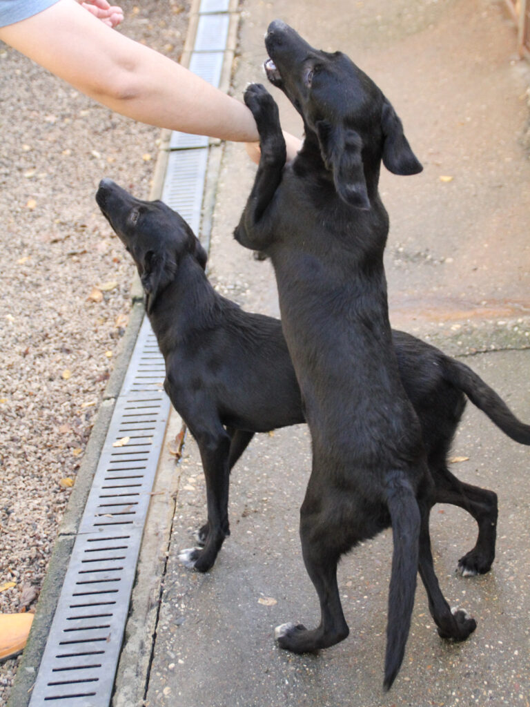 20251101-fotos-isidora-12