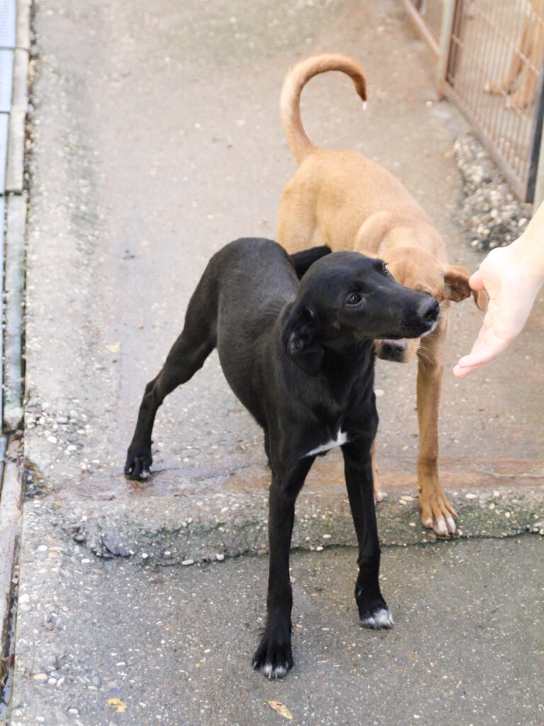 20251101-fotos-isidora-14