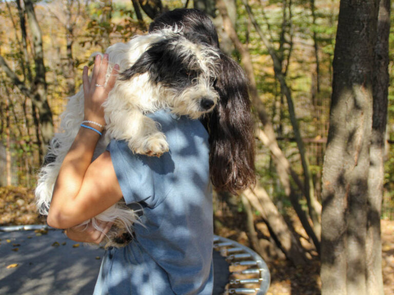 20251101-fotos-kelvin-01