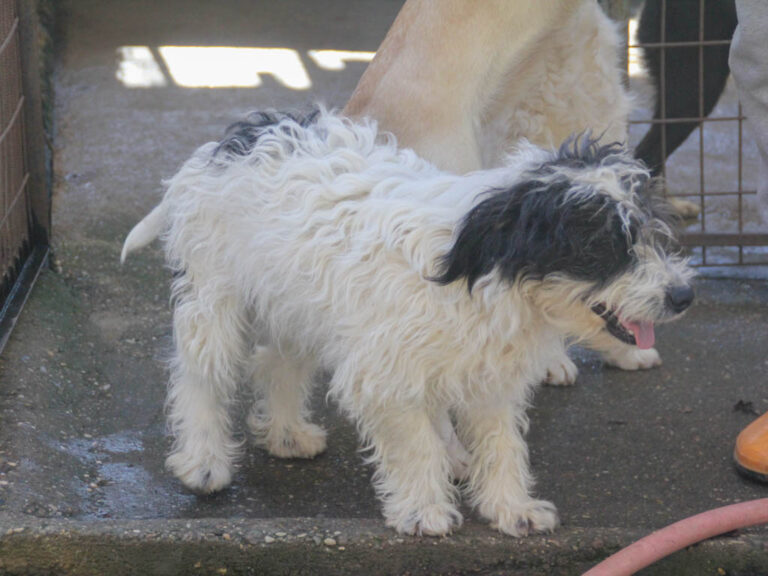 20251101-fotos-kelvin-04