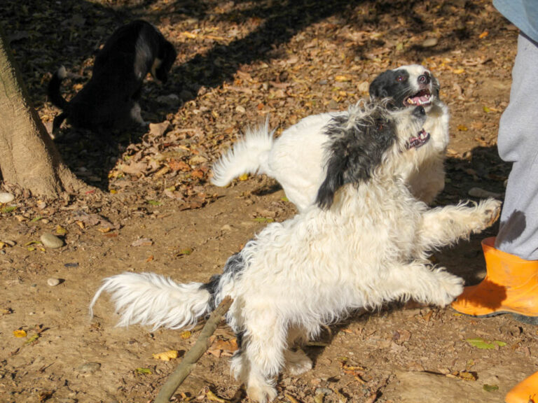 20251101-fotos-kelvin-05