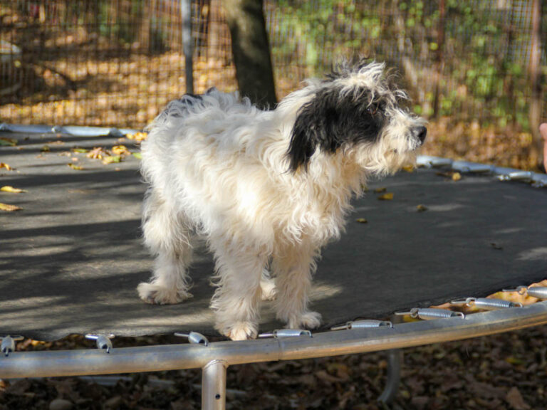 20251101-fotos-kelvin-06