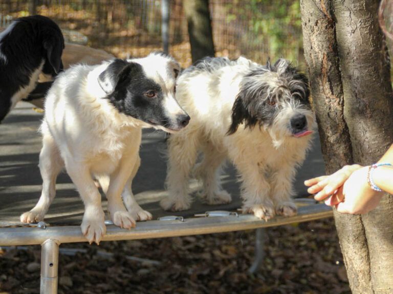 20251101-fotos-kelvin-10