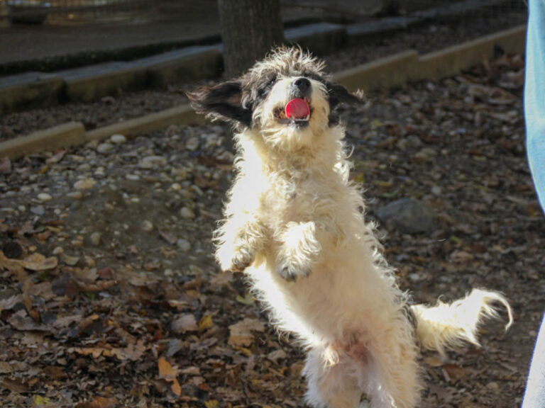 20251101-fotos-kelvin-11