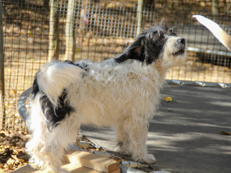 20251101-fotos-kelvin-14