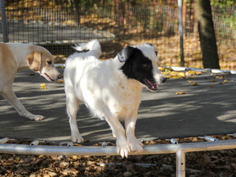 20251101-fotos-pupin-01