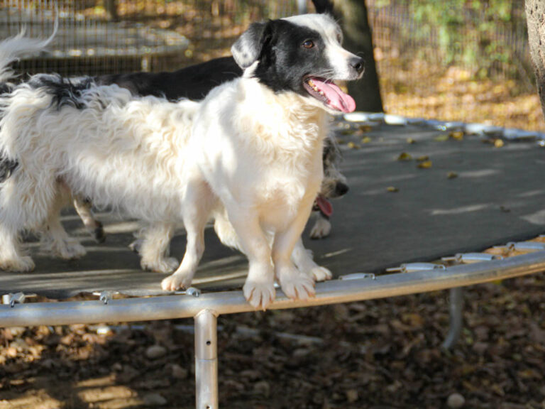 20251101-fotos-pupin-02