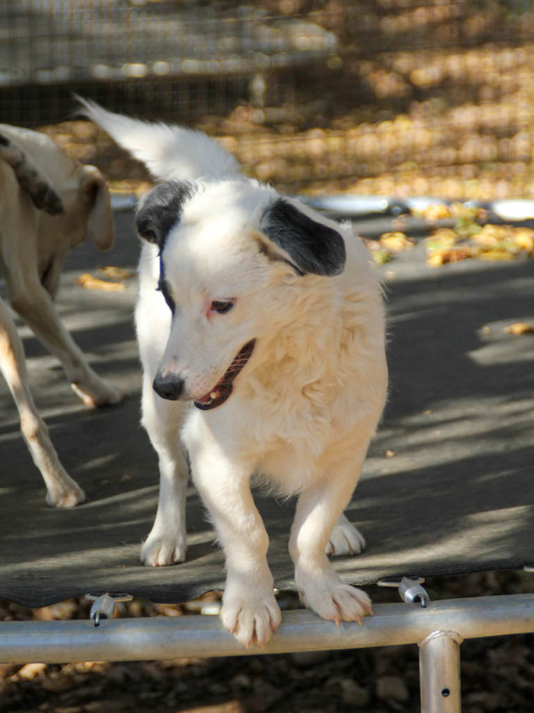 20251101-fotos-pupin-03