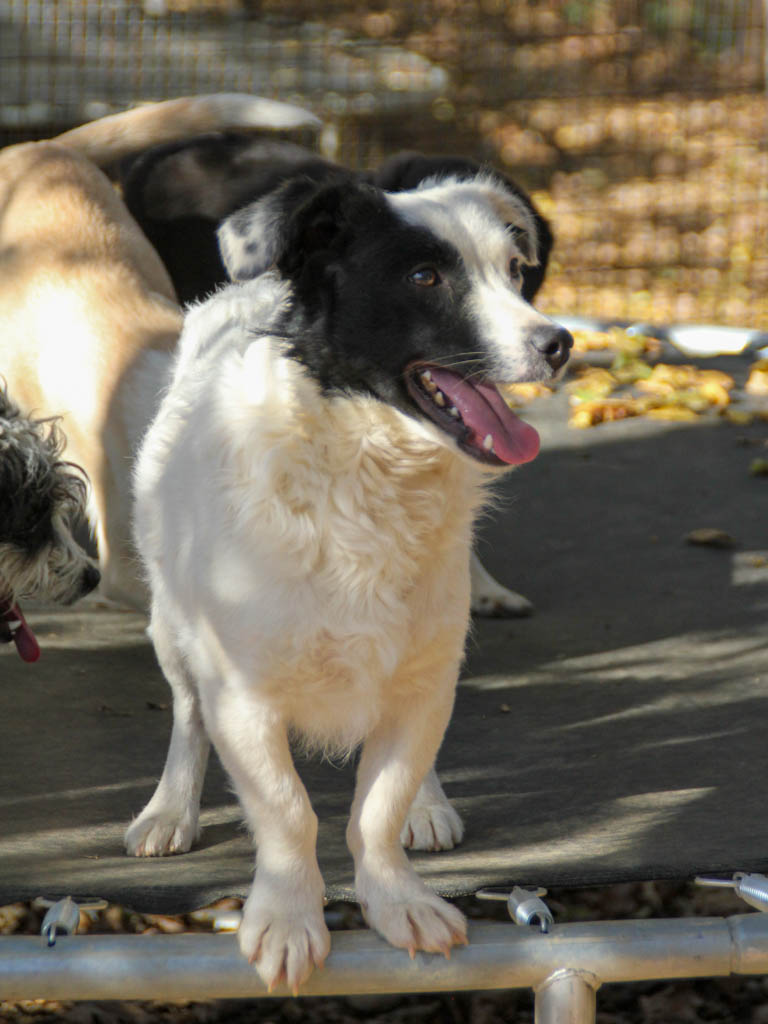 20251101-fotos-pupin-04