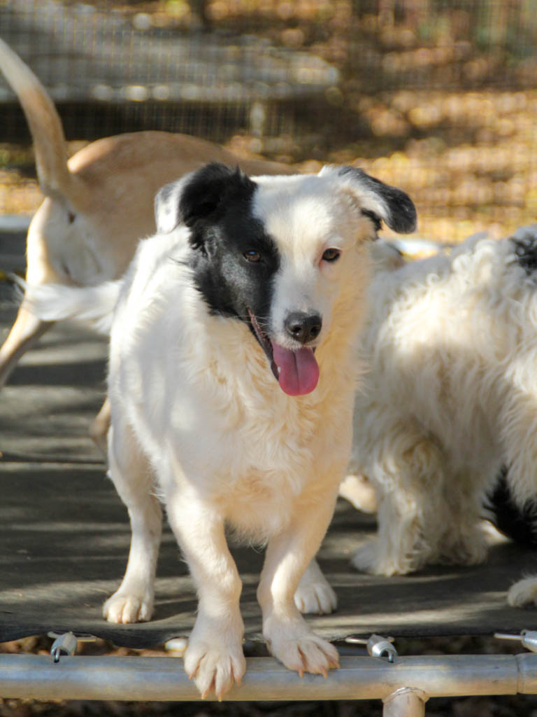 20251101-fotos-pupin-05