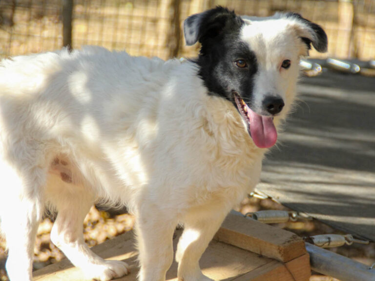 20251101-fotos-pupin-06