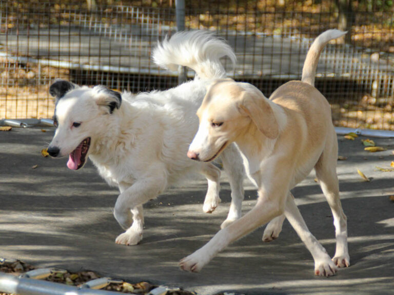 20251101-fotos-pupin-07