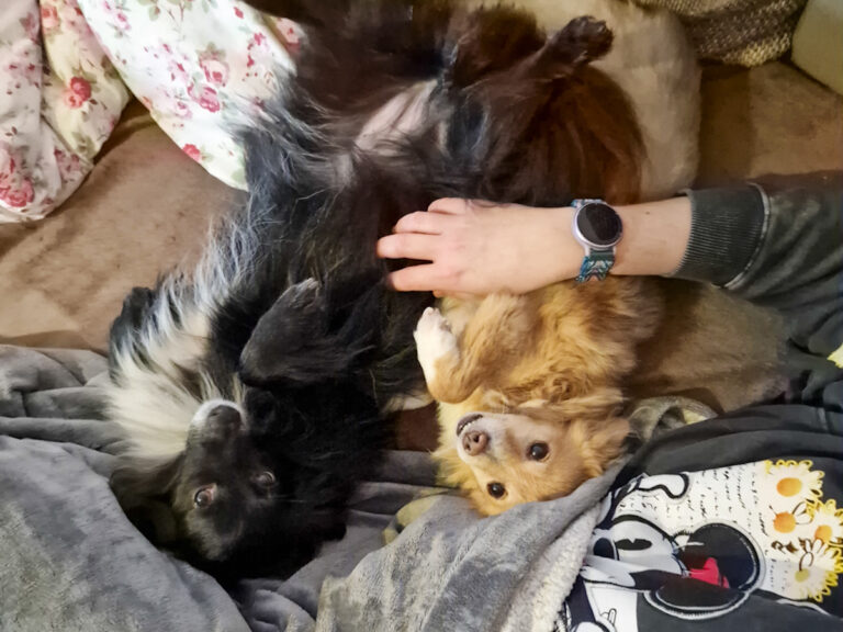 20251115-fotos-chia-4