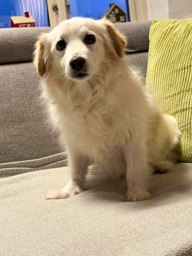 20251120-fotos-tia-1