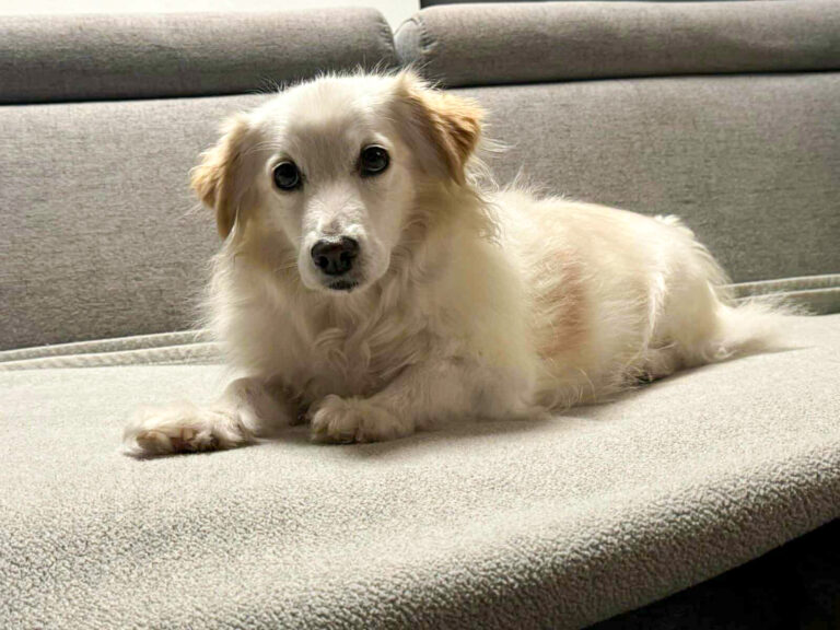 20251120-fotos-tia-2