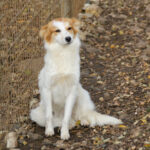 20251117-fotos-annemarie-2