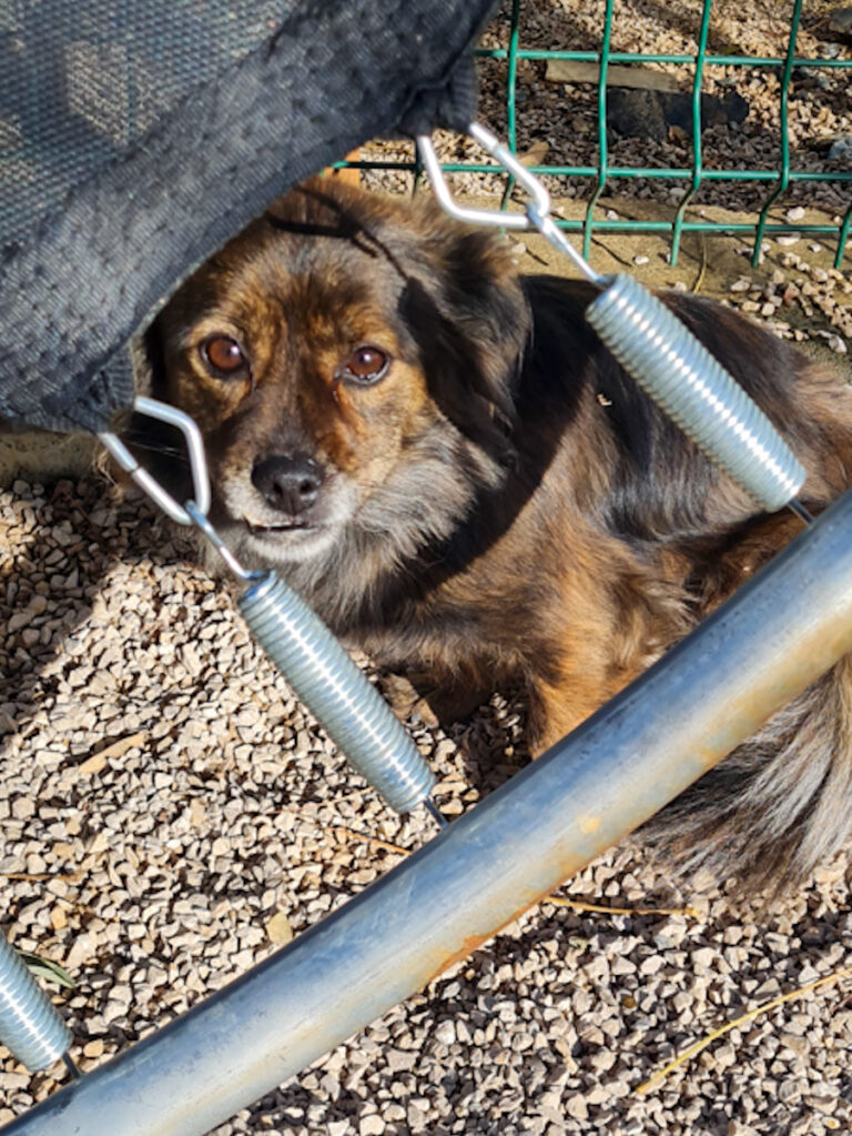 20251126-fotos-emilija-3