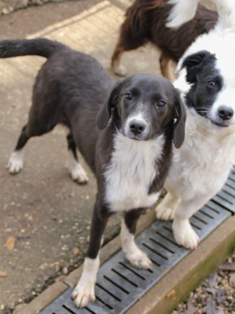 20251126-fotos-flavia-03