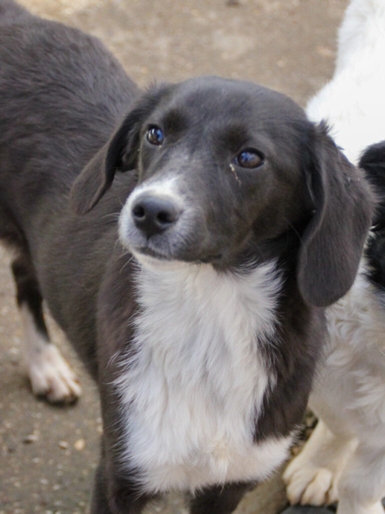 20251126-fotos-flavia-06