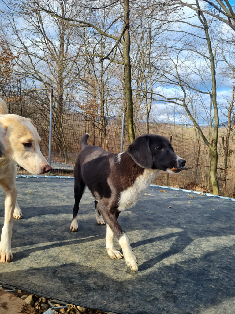 20251126-fotos-flavia-10