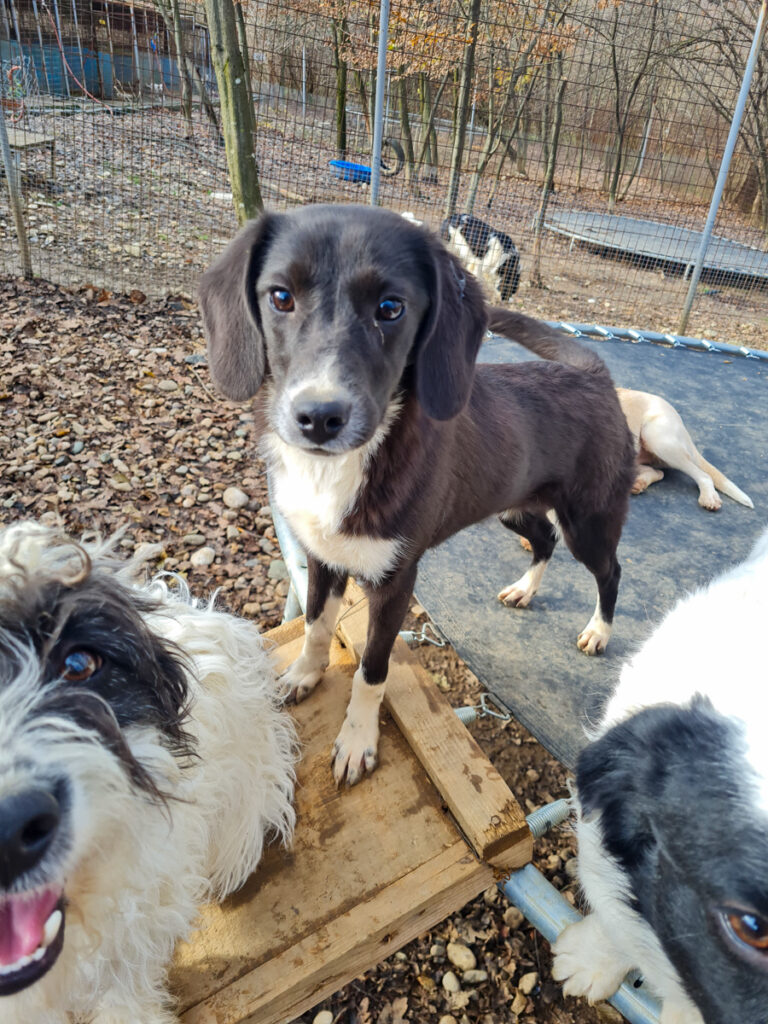 20251126-fotos-flavia-12