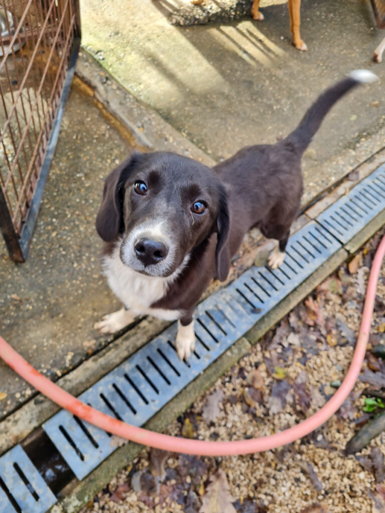 20251126-fotos-flavia-17