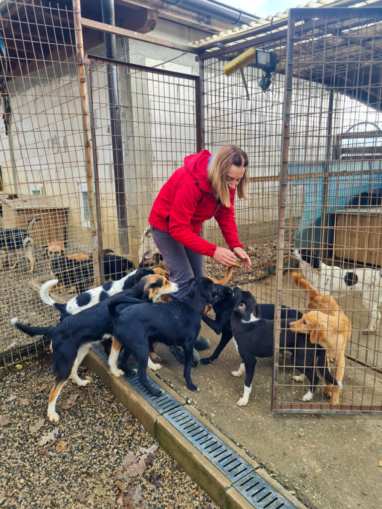 20251126-fotos-flavia-20