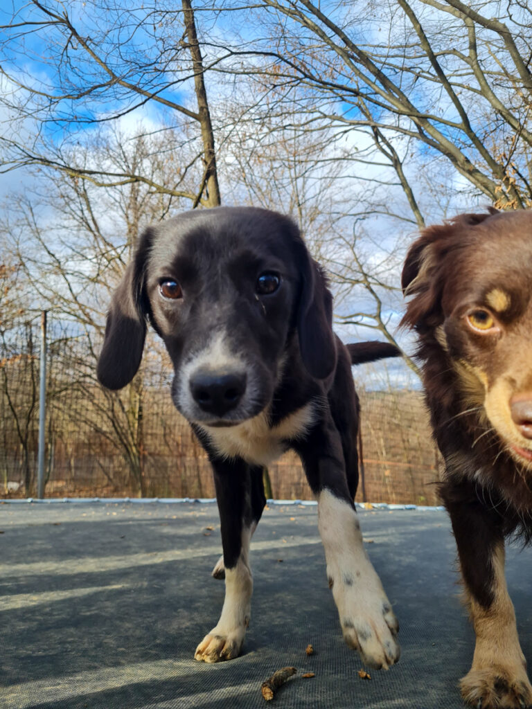 20251126-fotos-flavia-9