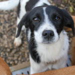 20251126-fotos-ilias-01