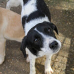 20251126-fotos-ilias-03