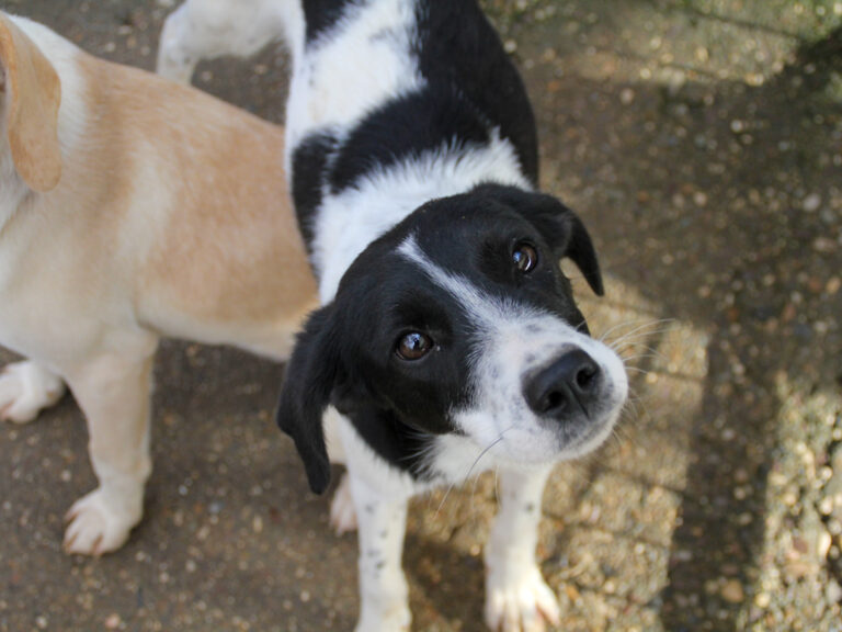 20251126-fotos-ilias-03