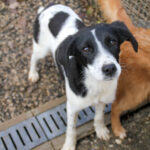 20251126-fotos-ilias-06