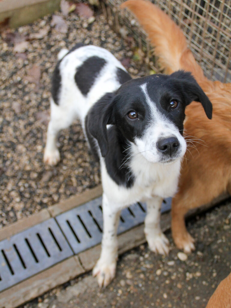 20251126-fotos-ilias-06