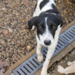 20251126-fotos-ilias-08