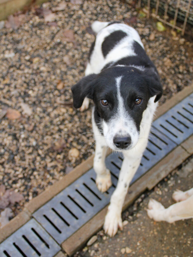 20251126-fotos-ilias-08