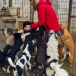 20251126-fotos-ilias-11