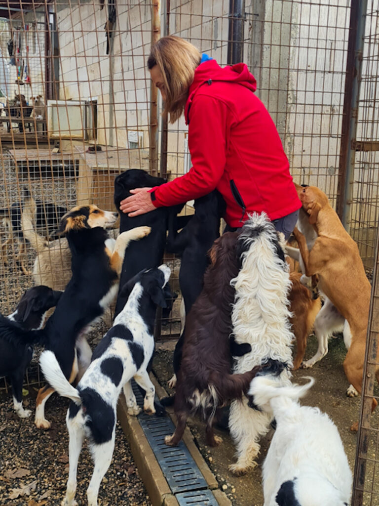 20251126-fotos-ilias-11