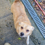 20251126-fotos-inessa-2