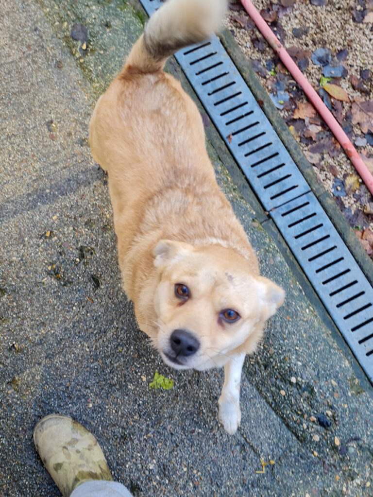 20251126-fotos-inessa-2