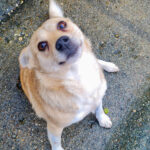 20251126-fotos-inessa-3