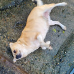 20251126-fotos-inessa-4