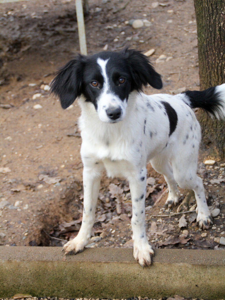 20251126-fotos-irena-3