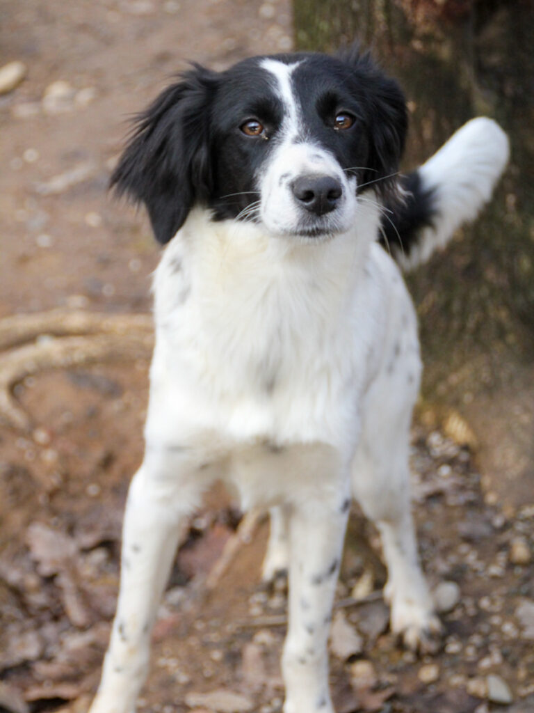 20251126-fotos-irena-4