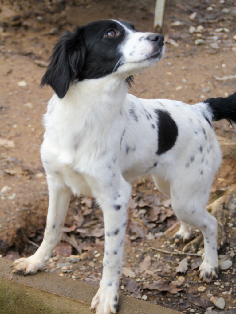 20251126-fotos-irena-8