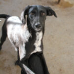 20251126-fotos-irma-01