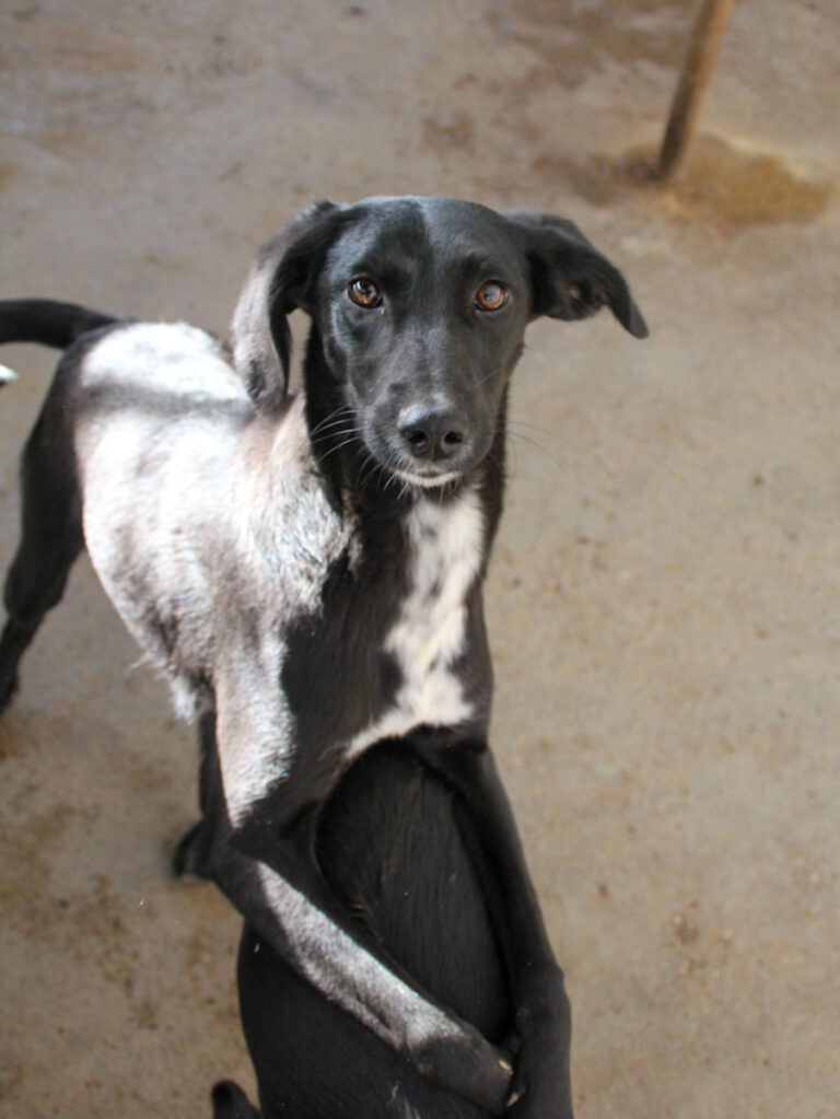 20251126-fotos-irma-01