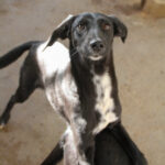 20251126-fotos-irma-04